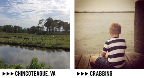 Instagram // Chincoteague, VA and crabbing